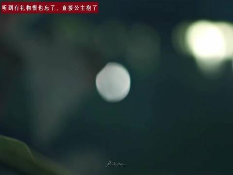 慕容清峄你听到lp有给你准备礼物就这样变脸，恨也忘了，只剩下为什么