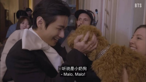 金泰亨‘NORMAL’MV幕后花絮,与小狗贴贴互动