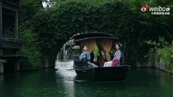 倔强小白花我们也子 cr.logo