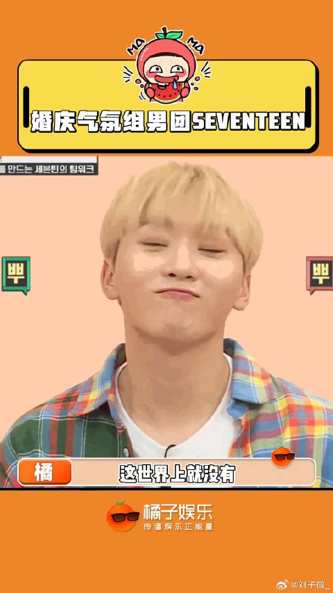 小17退休后的兼职工作，seventeen