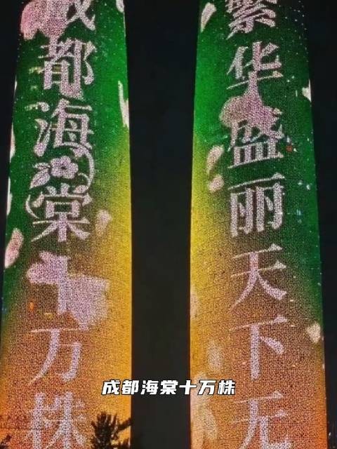  被爱滋养的少年永远温柔｜丁禹兮<a target=
