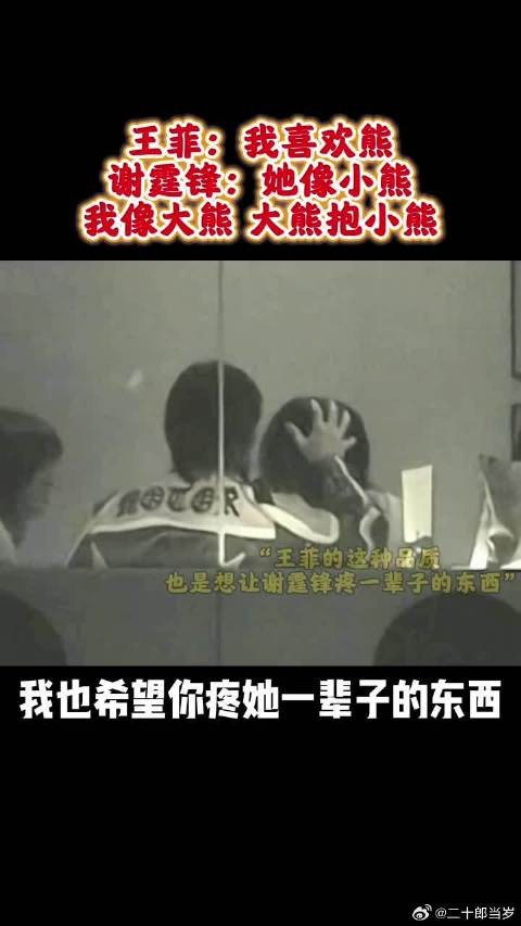 王菲说喜欢熊，谢霆锋称其像小熊