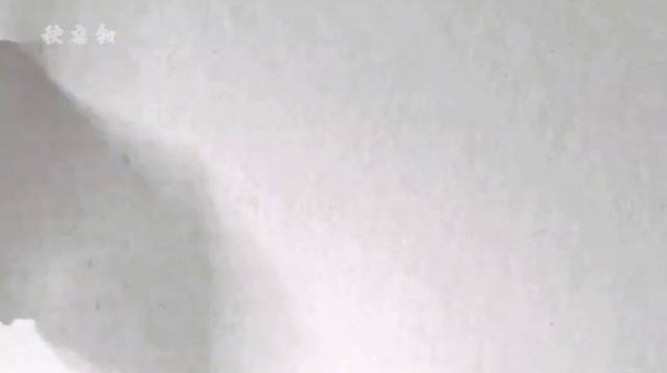 白鹿回眸镜头被称天选王韵娜，解约欢娱独挑大梁