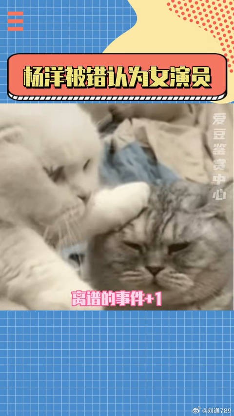 搞笑 杨洋被网友错认成女演员