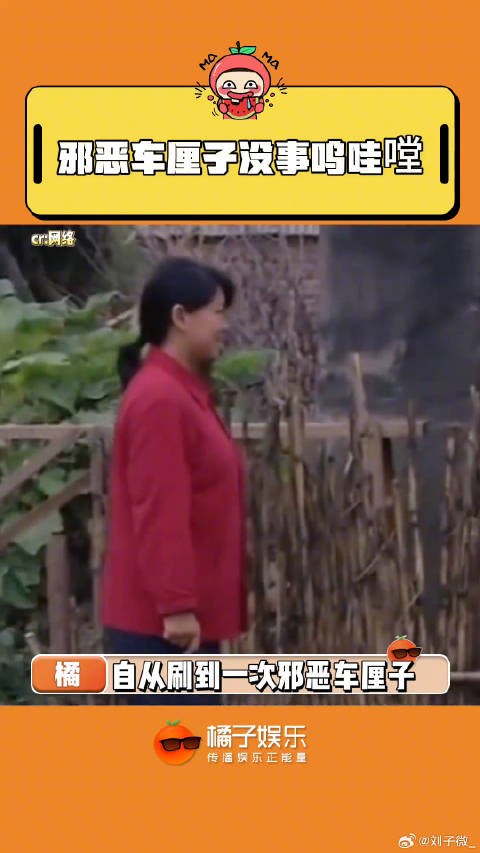 一天不上网就会错过无数个新梗微博VC计划