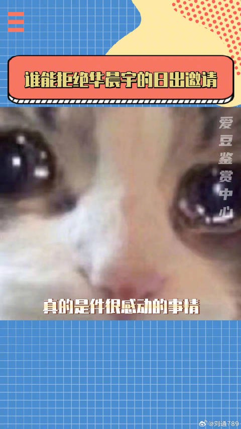 王牌对王牌 不敢想象一起看日出的演唱会有多浪漫 微博VC计划