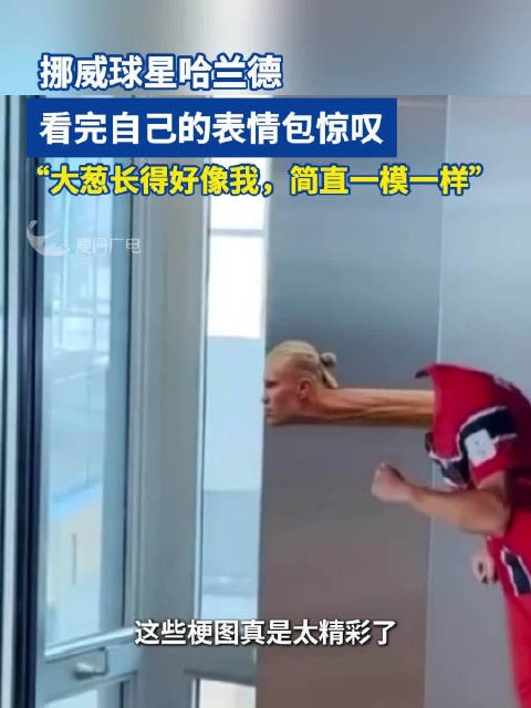 挪威球星哈兰德，看完自己的表情包惊叹：“大葱长得好像我，简直一模一样”