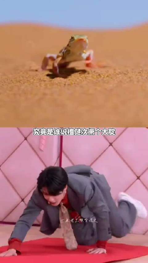 我笑晕在檀健次玩斜坡挑战游戏中!你好星期六