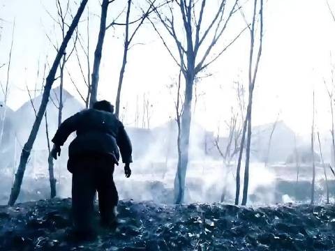 村庄惨遭灭门屠杀,而奶牛却安然无恙