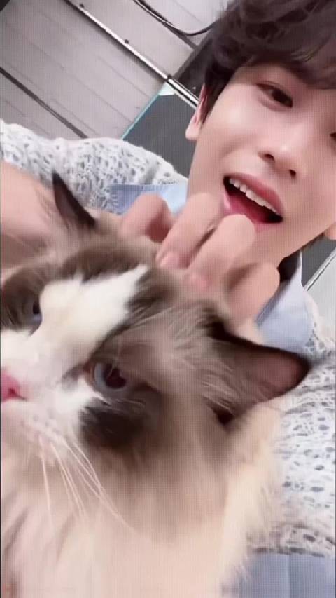 张凌赫…小乐乐