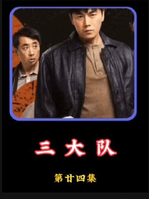 这集主要讲述，王大勇伏法