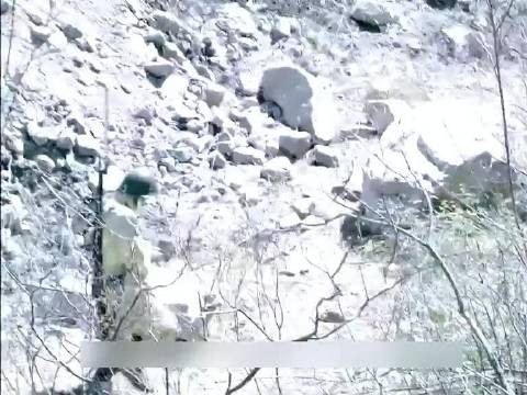 黑人伪装成鬼子想要混进队伍，可没想到意外却发生了