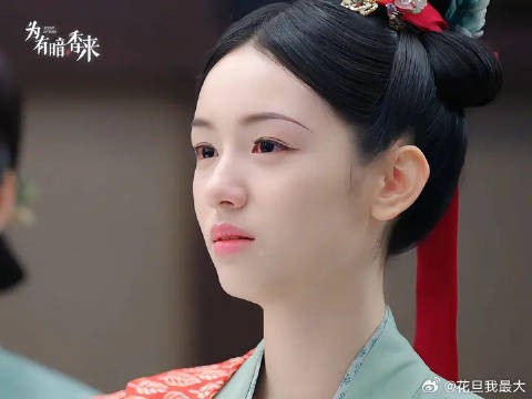 为有暗香来，这一路要流多少泪才算数