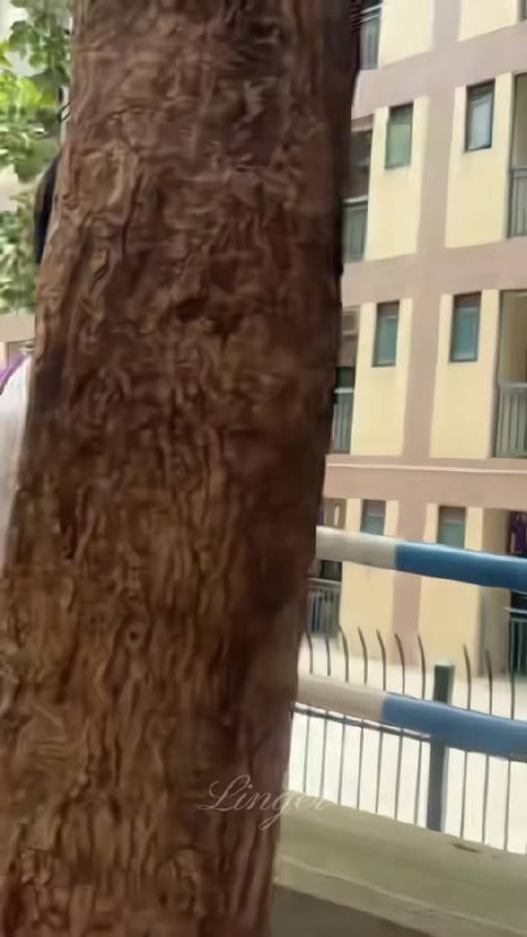 我想要的 我需要的 我憧憬的 好像都与你有关了