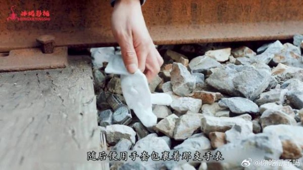 侯三金又被猫戏耍，这波操作太搞笑！