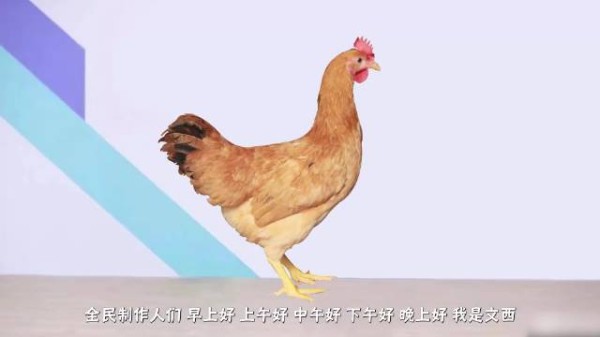 印度拍的抗英神剧太抽象了！看得我汗流浃背了，由文西激情解说