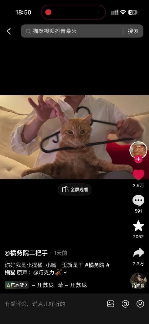 哈哈哈哈哈还是晴的间奏太配了,咪无可恋,明天给呆呆安排一个!