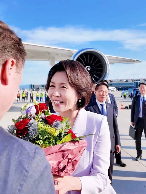“恋人怀中樱花草”