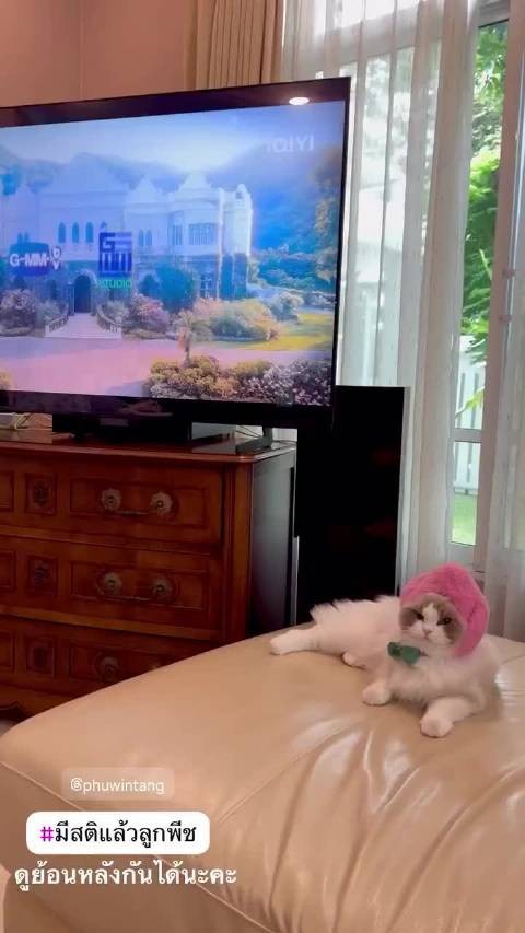 才看到我们桃子hana