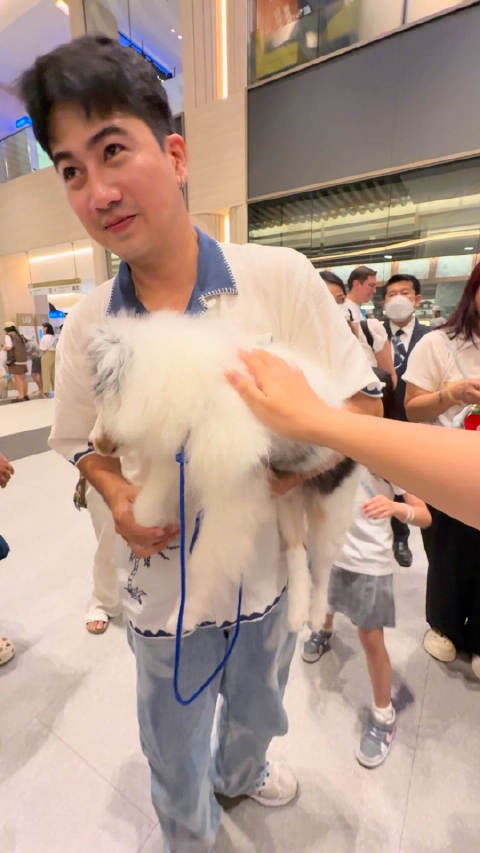 我摸小珍弟 小珍弟爪子划水 萌翻了