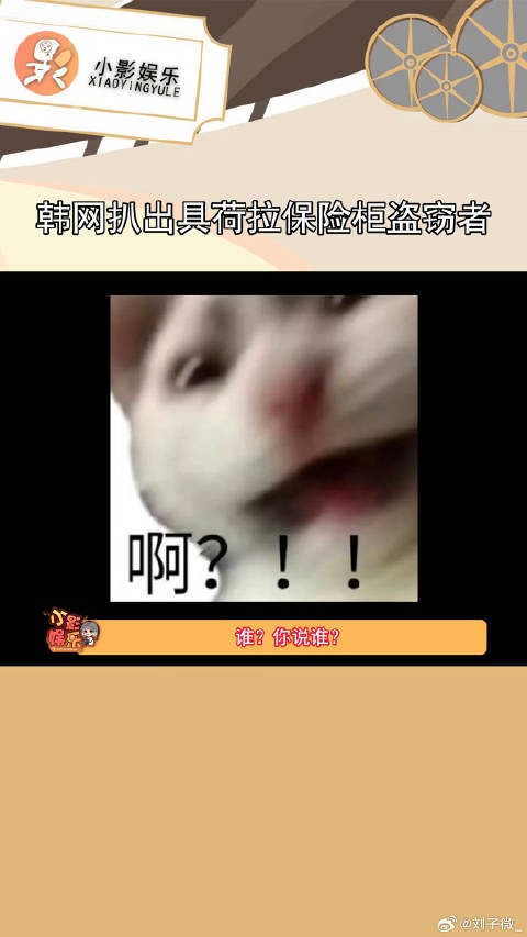 ZICO被指与具荷拉保险柜被盗案嫌犯特征相似