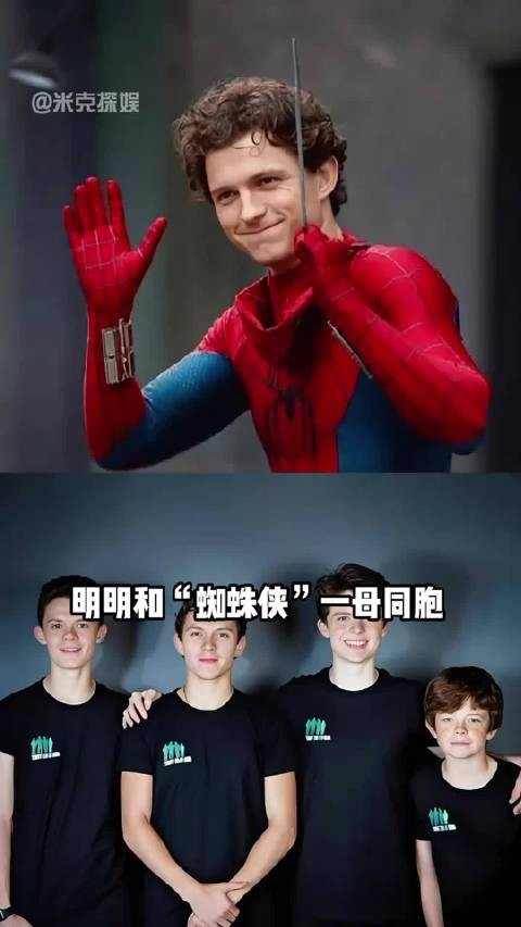 荷兰弟凭蜘蛛侠风靡全球，三兄弟不蹭光环各自寻路