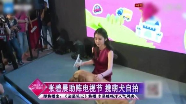 请看到最后一秒
