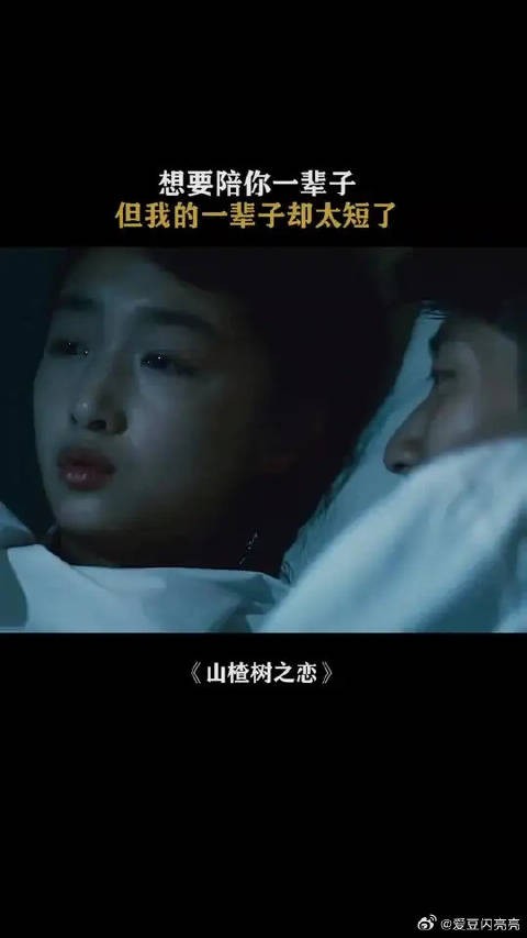 男孩想要陪她一辈子,但是自己的一辈子却太短了