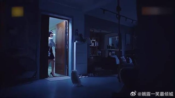 繁星来接狗,谁料前任爸爸来了,场面一度尴尬!