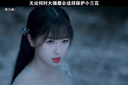 长珩一次次退让，终让小兰花爱上东方青苍