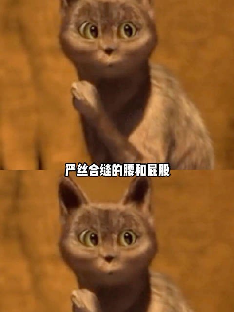 好一个安塞腰股