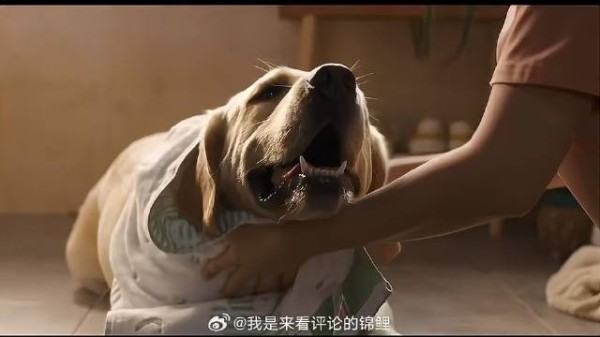 活在回忆里的吴出现 可乐凭自己实力,获得能回家的权利