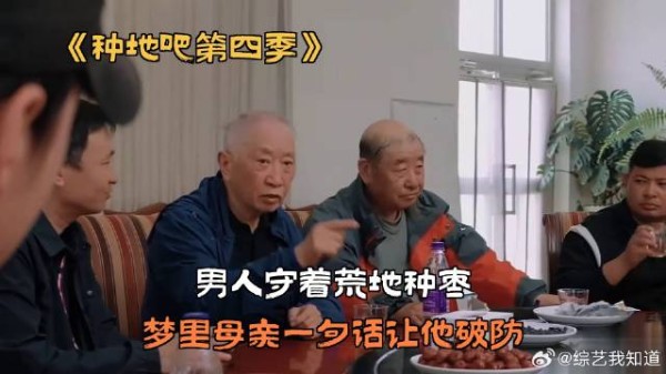 男人守着荒地种枣,梦里母亲一句话让他破防