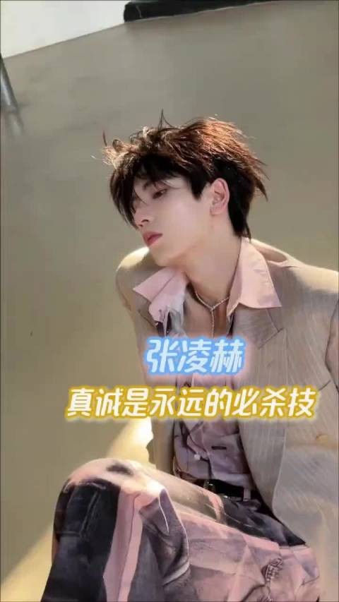 爱上张凌赫就像呼吸一样简单!张凌赫 小核桃双向奔赴