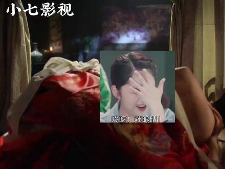 31-9 红高粱