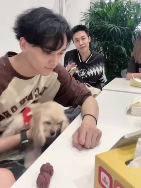 报告这里有人给小狗吃核桃