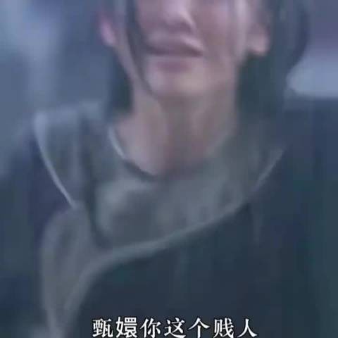 安陵容下线前未咒骂甄嬛，只说抱歉