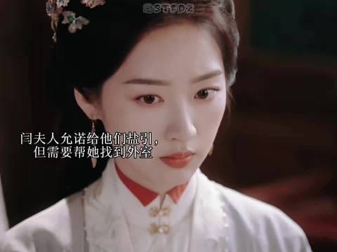 傅庭芸和赵凌帮助闫夫人找到外室，成功拿到盐引文牒， 花开锦绣