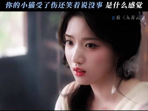 伤在二十七身上,疼在明意心里 入青云