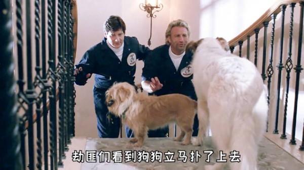 高智商狗狗戏弄两劫匪,上演狗狗版小鬼当家