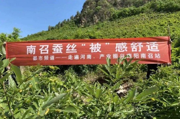 河南这个县城，为何被称为“召半省”？