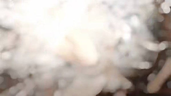 不管看几次，都觉得两人cp感好强