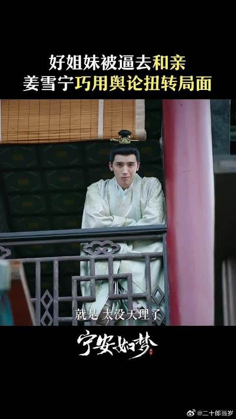 公主面临和亲困境，且看姜雪宁如何运筹帷幄扭转局面