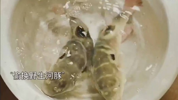 秦岚以身犯险诱敌中计,好姐妹合伙打退日本人