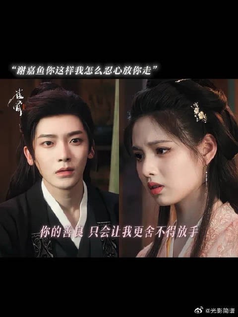 柿子你再这样下去小心追妻火葬场