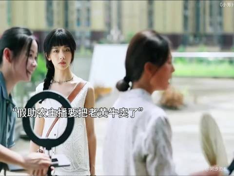 万物皆有灵,被人抛弃的老黄牛跟着小芳回了家