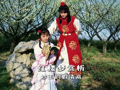 “你这个人,怎么连水也尝不出来?”——妙玉一句话,撕开了她最大的伪装