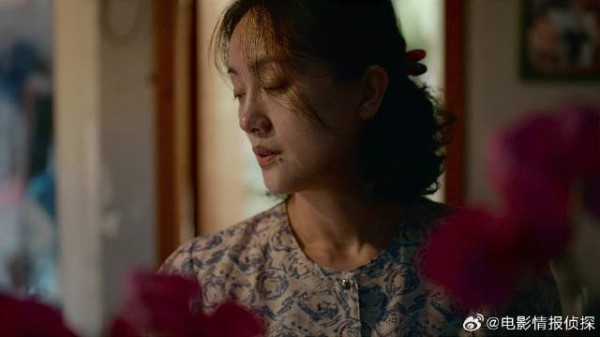 大哥一家出车祸死亡 留下个小男孩，姑妈生活雪上加霜