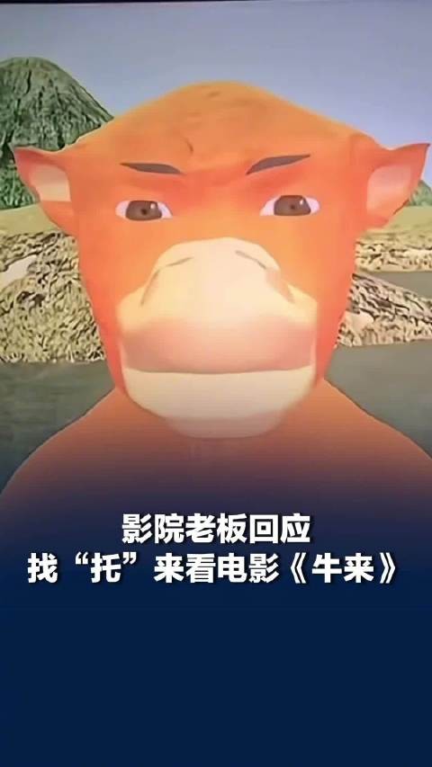 影院老板找托看牛来结果全是真观众