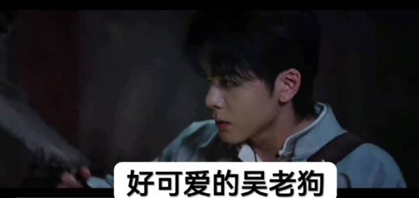 可爱的吴老狗